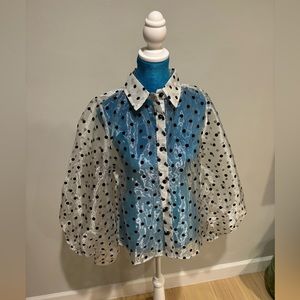 BEAUTIFUL Sheer& shiny polka dot top with large sleeves!